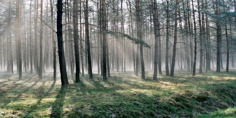 Wybrane przedmioty specjalistyczne w toku studiów magisterskich II stopnia na specjalności ochrona przyrody Fot.