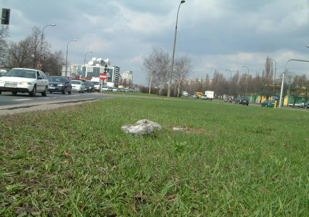 Pożądane cechy drzew