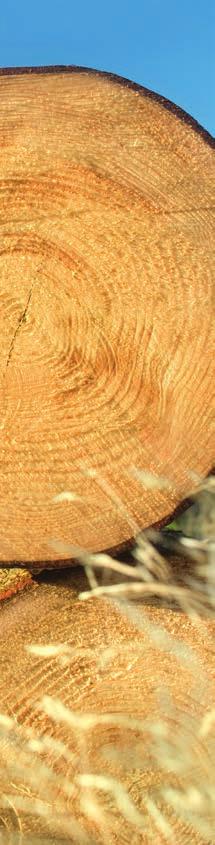 EGGER More from Wood. Drewno to najważniejszy surowiec dla firmy EGGER, która docenia jego wyjątkowe cechy: przytulność i naturalne ciepło.