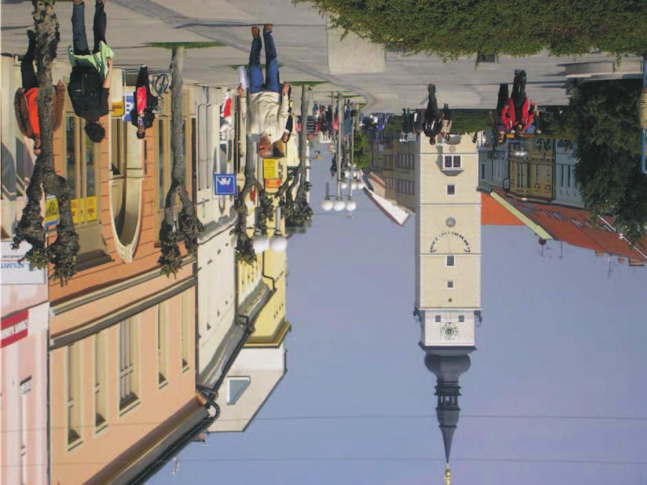 Law Faculty of Trnava University in Trnava Department of Administrative law, Environmental law and Financial law and international scientific conference held