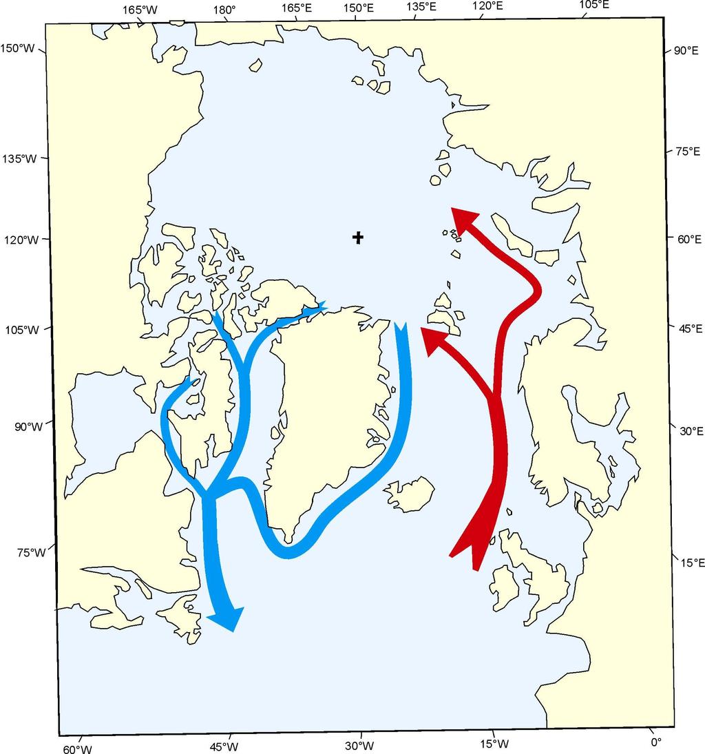 Strong outflow of low saline Arctic water Sundby and