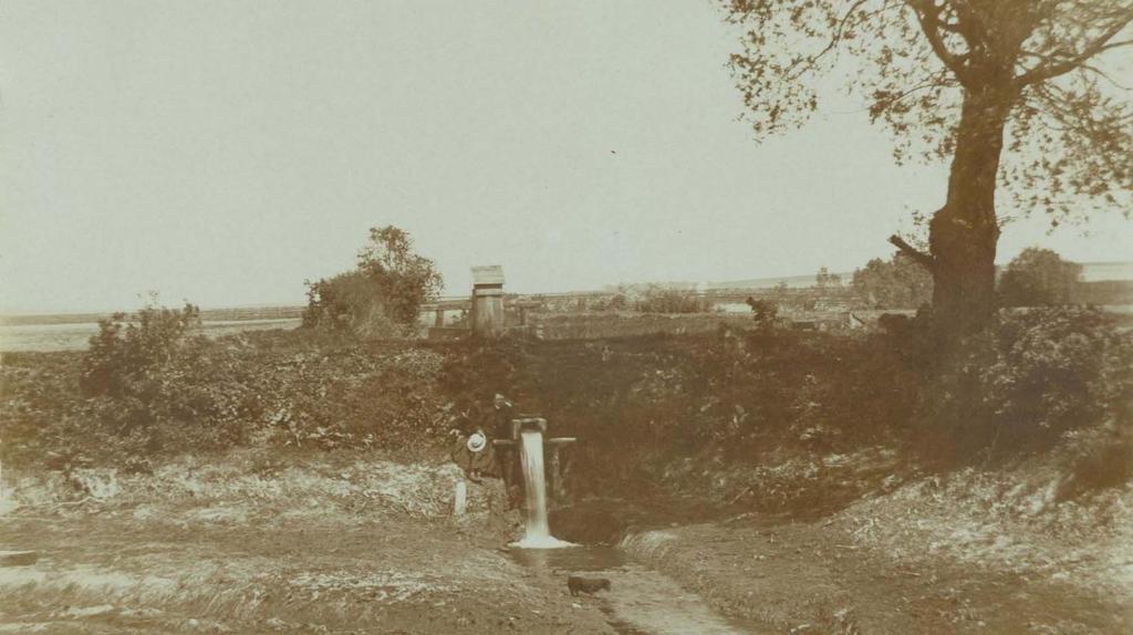 Rowu do Rejki. 19 maj 1914 rok.