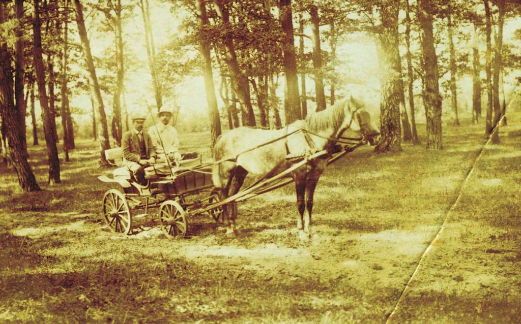 47 48 49 47 Czerwiec 1910 rok.