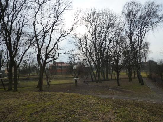 Green Key Gminny Program Opieki nad Zabytkami dla Gminy Szubin obecnie rolę parku ogólnodostępnego dla mieszkańców i charakteryzuje się dobrym zachowaniem (fot. 8).