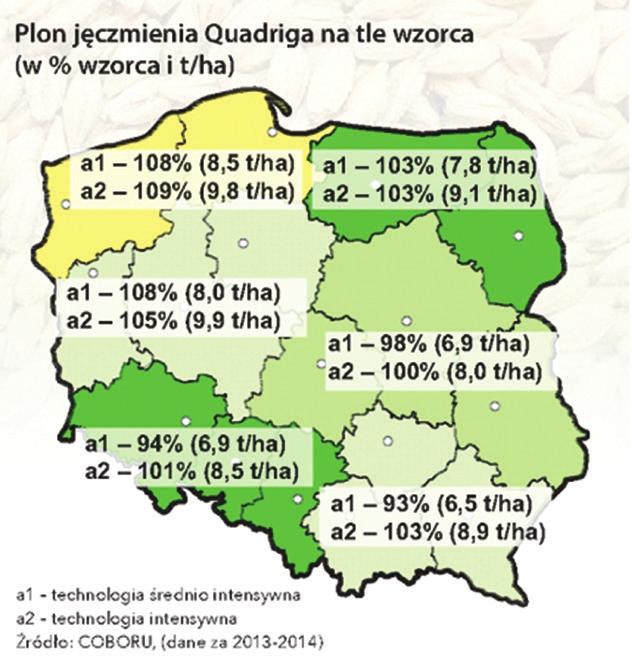 Charakteryzuje się dobrą zimotrwałością, co minimalizuje ryzyko wymarzania. Z uwagi na podwyższoną odporność na zakwaszenie gleby toleruje gorsze stanowiska. Bardzo dobrze się krzewi.