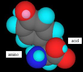 Białka są zbudowane z aminokwasów Białka są zbudowane z aminokwasów 2 2 ymbole aminokwasów ymbole aminokwasów Alanine Ala A Arginine Arg