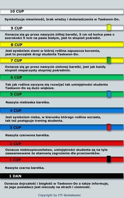 Stopnie uczniowskie 10 1 kup Stopnie mistrzowskie 1-10 DAN Podstawową strukturę taekwondo, jako systemu walki, można podzielić na: