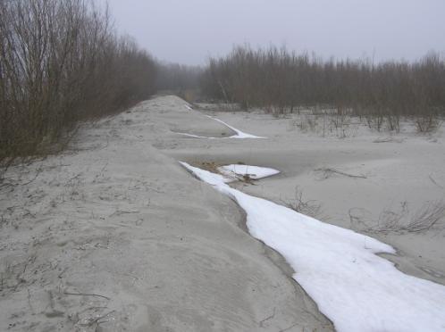 BUDOWA NOWYCH I ROZBUDOWA ISTNIEJĄCYCH PÓL REFULACYJNYCH Z pogłębienia toru wodnego do głębokości 12,5 m i szerokości w dnie 110 m przewiduje się wydobycie około 20 25 mln m 3 urobku.