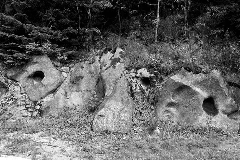Składa się z 8 punktów edukacyjnych prezentujących wartości przyrodnicze i historyczne parku krajobrazowego wraz z informacjami na temat geologii terenu, przełomu rzecznego i licznych formacji