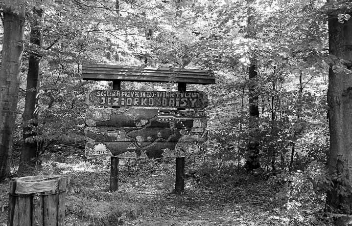 Horoszko) Rys. 5. Skała Olbrzyma w Wąwozie Myśliborskim(fot. T. Horoszko) Fig. 5. The Rock Skała Obrzyma in Myśliborski Gorge (photo T. Horoszko) Książański Park Krajobrazowy Ścieżka edukacyjna pt.