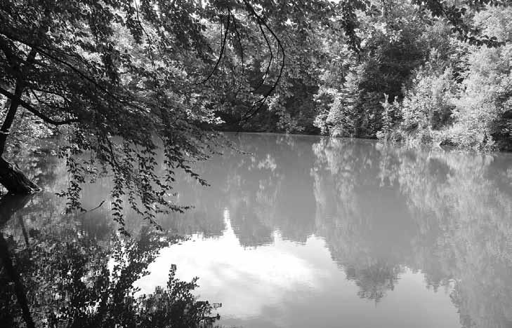 Rys. 8. Jeziorko Daisy (fot. L. Mazur) Fig 8 Daisy Lake (photo L. Mazur) 3.