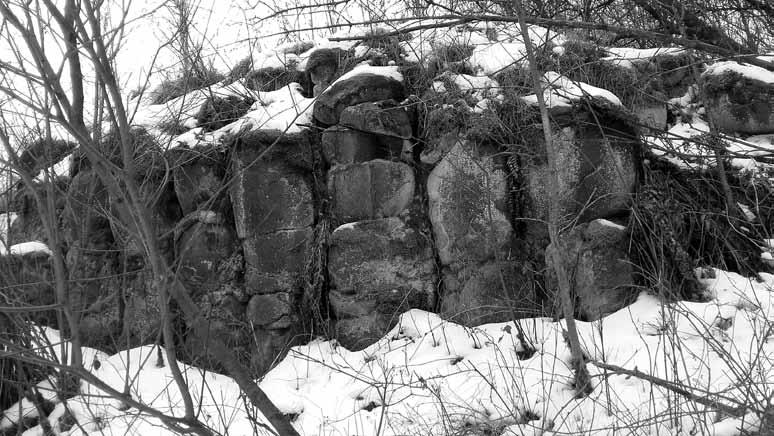 Rys. 2. Słupy bazaltowe widoczne w kamieniołomie w Kowalskich (foto A. Warcholińska) Fig. 2. Basaltic columns visible in the quarry in Kowalski (photo A. Warcholińska) 4.