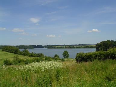 ZAGROŻENIA