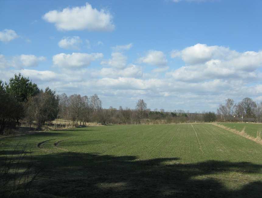 26. Taciszów widok w kierunku