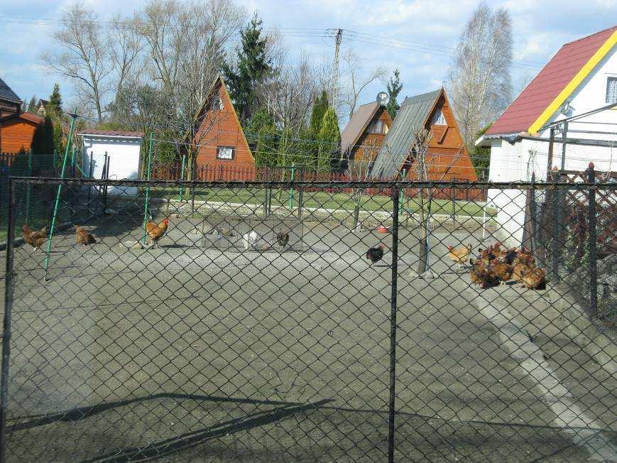 41. Pławniowice zabudowa