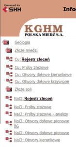 Efektem zapytania o zlecenia jest widoczna na rysunku 7 lista zleceń spełniających zadane kryteria wyboru.