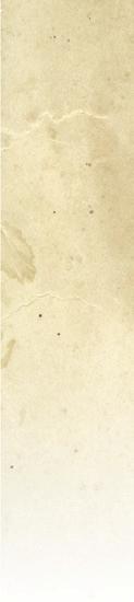a. p l 21