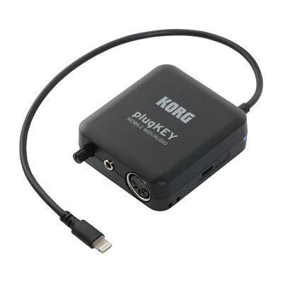 Używając DS DAC 100m, lub DS DAC 100 (który posiada wyjścia RCA i XLR) z oprogramowaniem AudioGate 3 użytkownik może odtwarzać muzykę z CD, pobraną z Internetu itd.