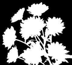 Deliflor R: 7.