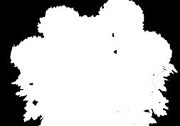 S: 10.