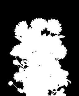 White L: Deliflor R: