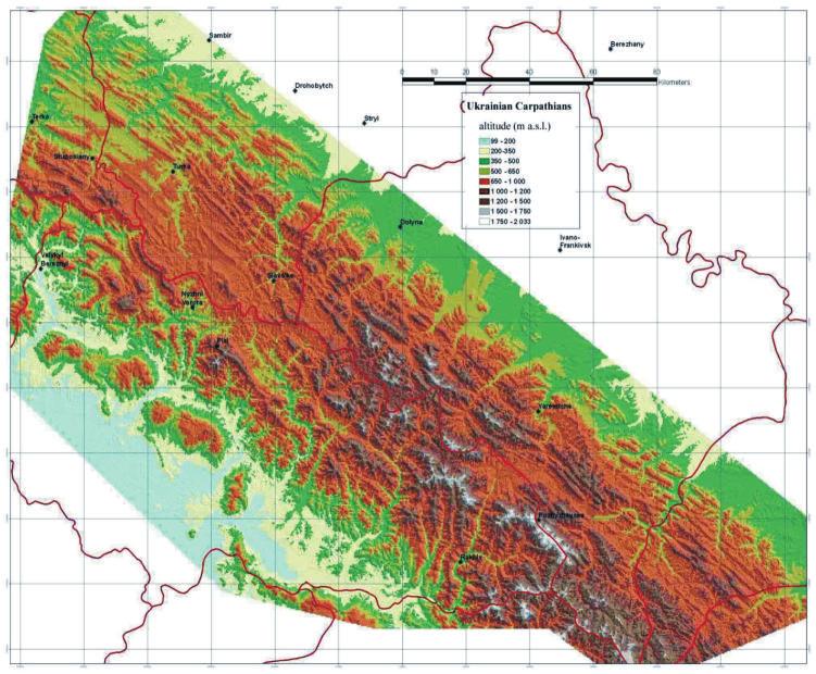 platyphyllos (L.) Hill. and, on the southernmost slopes neighbouring to the Pannonian plane in Transcarpathia, also Tilia tomentosa Moench, Fraxinus ornus L., Quercus dalechampii Ten. and Q. cerris L.