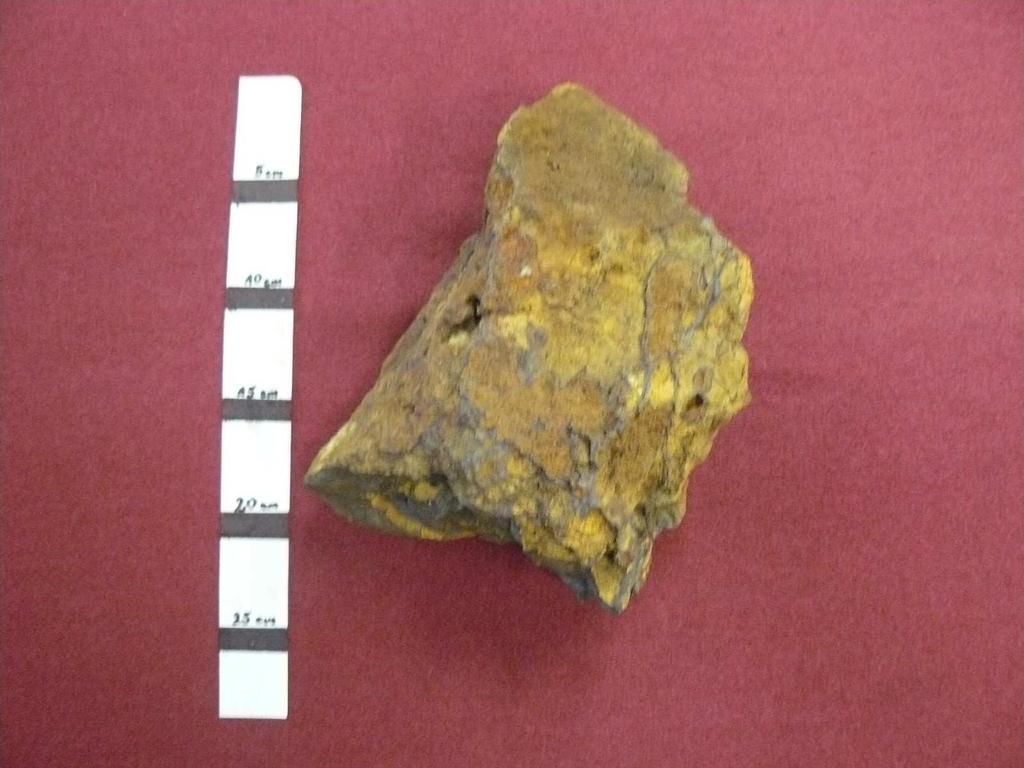 Podczas wędrówek i zwiedzania najróŝniejszych miejsc Ukrainy zebrano i udokumentowano oprócz okazów roślin, takŝe wiele okazów geologicznych.