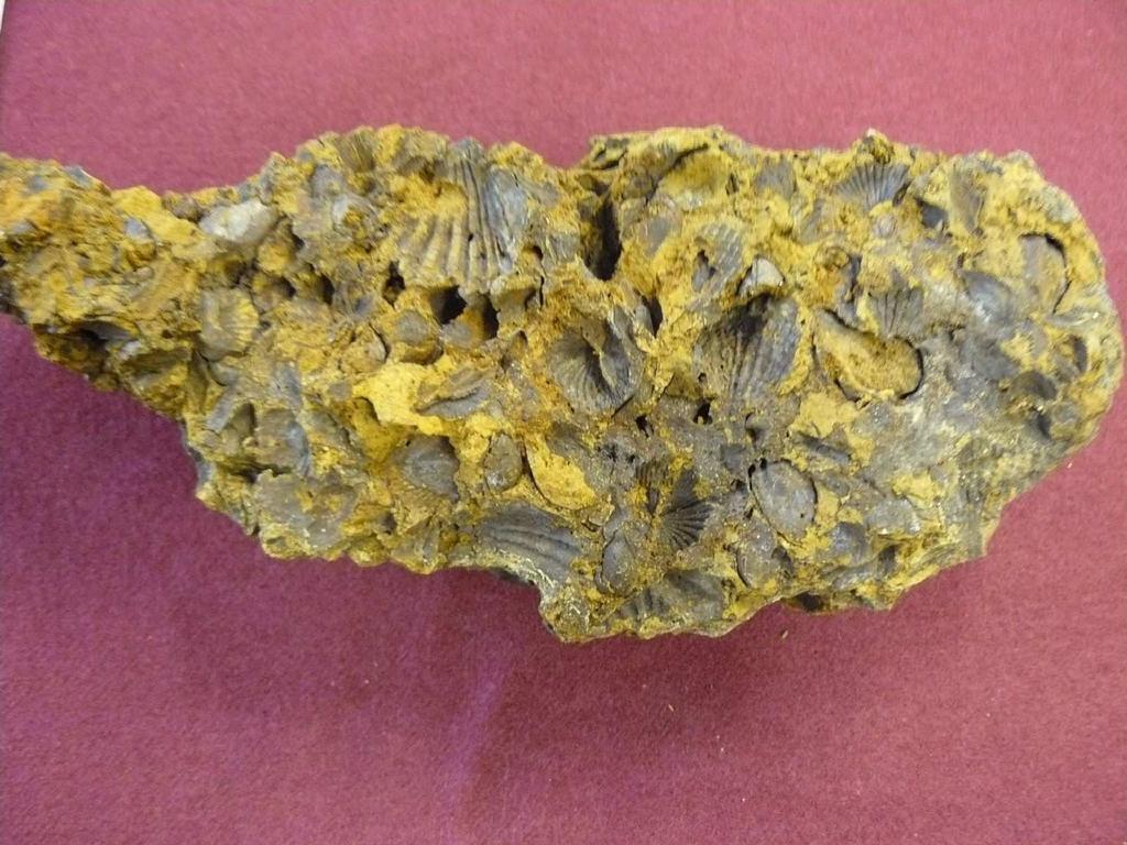 goethytem