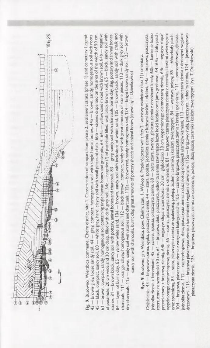 The Early Medieval settlements at the