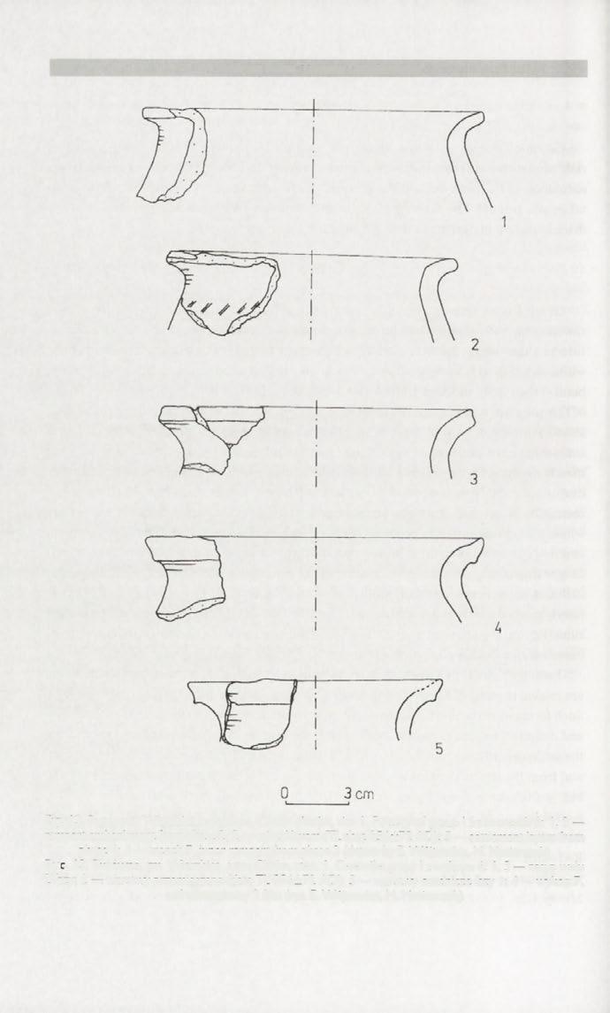 338 Andrzej Buko, Tomasz Dzieńkowski Fig. 13. Busówno, Wierzbica commune, Chełm district, site 1.