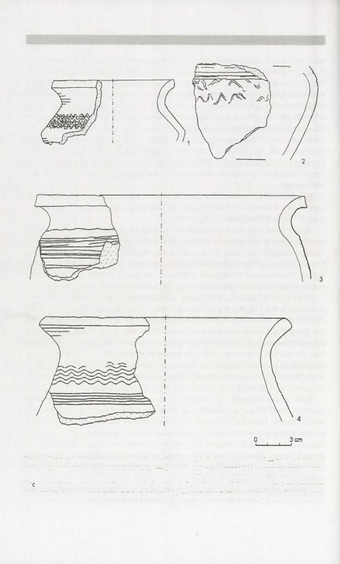 340 Andrzej Buko, Tomasz Dzieńkowski Fig. 14. Busówno, Wierzbica commune, Chełm district, site 1.