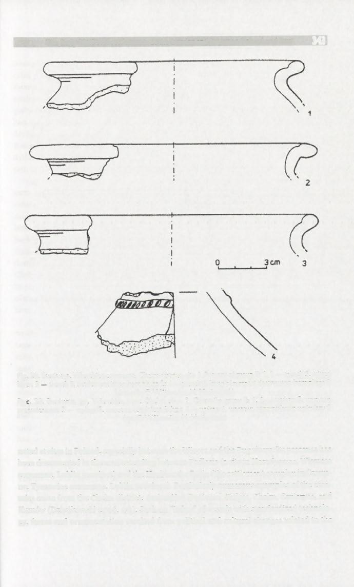 The Early Medieval settlements at the borderland between Poland and Rus' 343 Fig. 20. Busówno, Wierzbica commune, Chełm district, site 1.