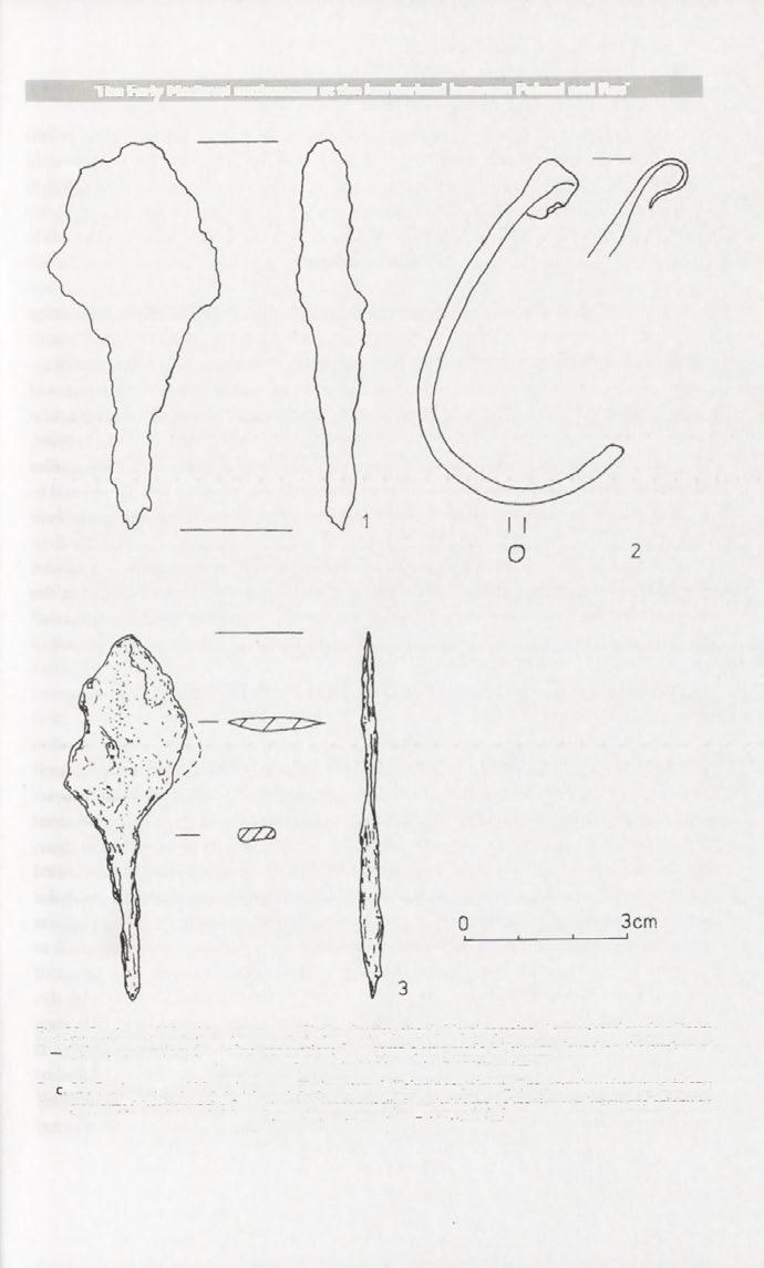 The Early Medieval settlements at the borderland between Poland and Rus' 347 Fig. 23. Busówno, Wierzbica commune, Chełm district, site 1. Metal remains.