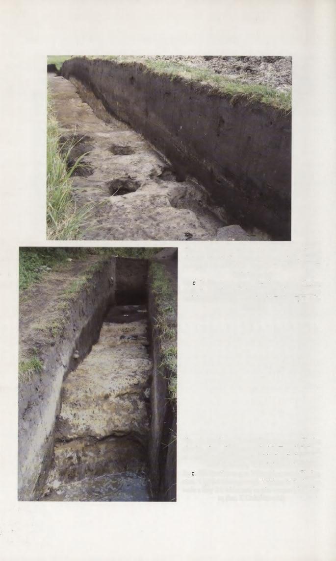 Fig. 7. Busówno, Wierzbica commune. Chełm district, site 1. Southern cross-section of inner rampart recorded in trench 7 (photo by T Dzieńkowski) Ryc. 7. Busówno, gm.