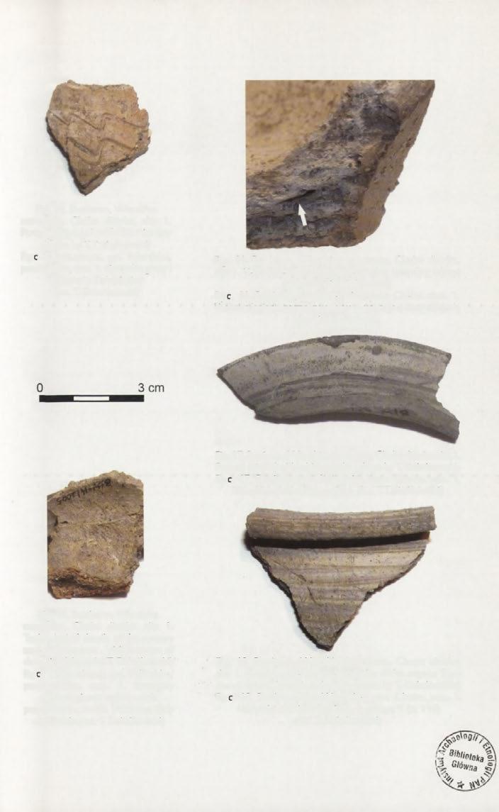 Fig. 11. Busówno, Wierzbica commune, Chełm district, site 1. Pottery of group I made of white clay (photo by T. Dzieńkowski) Ryc. 11. Busówno, gm. Wierzbica, pow. Chełm, stan. 1. Ceramika grupy I wykonana z białej gliny (fot.