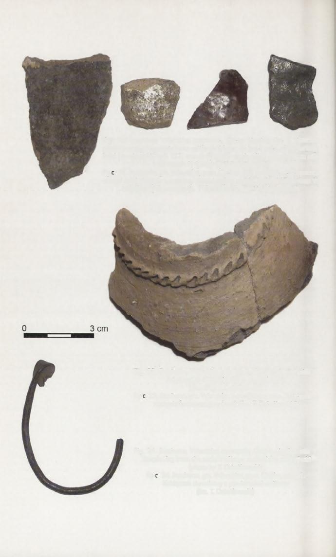 Fig. 19. Busówno, Wierzbica commune, Chełm district, site 1.