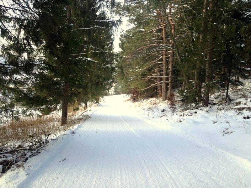 Pułaskiego - Stacja narciarska Tylicz Łączna długość tras to 14 km.