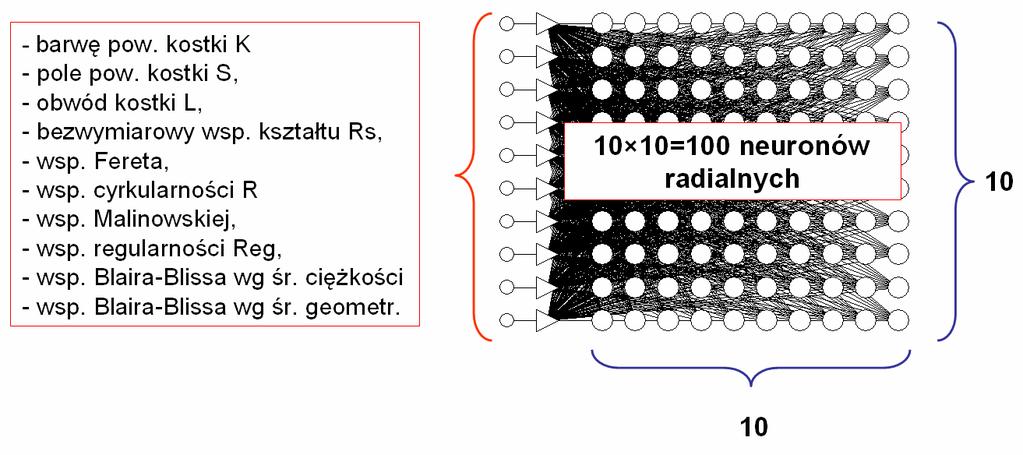 Wytworzony model neuronowy poprawnie klasyfikował trzy odmiany jabłek ( statystyki dla problemów klasyfikacyjnych - rys. 5).