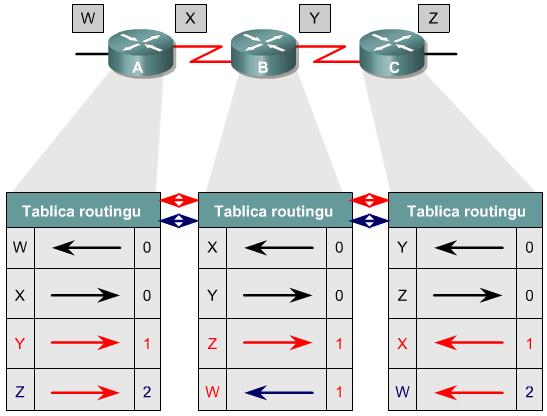 Każdy router korzystający z routingu działającego na podstawie wektora odległości w pierwszej kolejności identyfikuje swoich sąsiadów.