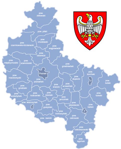 Poznań - 7 334,89-48,22 % poznański - 997,57pkt - co stanowi 6,56% WLK pilski - 717,82pkt.