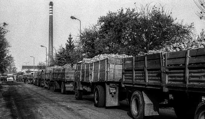 Dzisiaj możemy tylko wspominać. Ilekroć tamtędy przejeżdżam z zadumą i smutkiem patrzę na resztki po krasinieckiej cukrowni. Pamiętam czasy kiedy działała. Wiele razy w latach 80. robiłem tam zdjęcia.