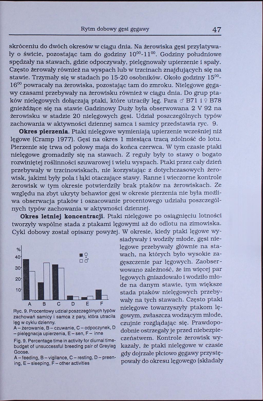 Rytm dobowy gęsi gęgawy 47 skróceniu do dwóch okresów w ciągu dnia. Na żerowiska gęsi przylatywały o świcie, pozostając tam do godziny 10-1100.