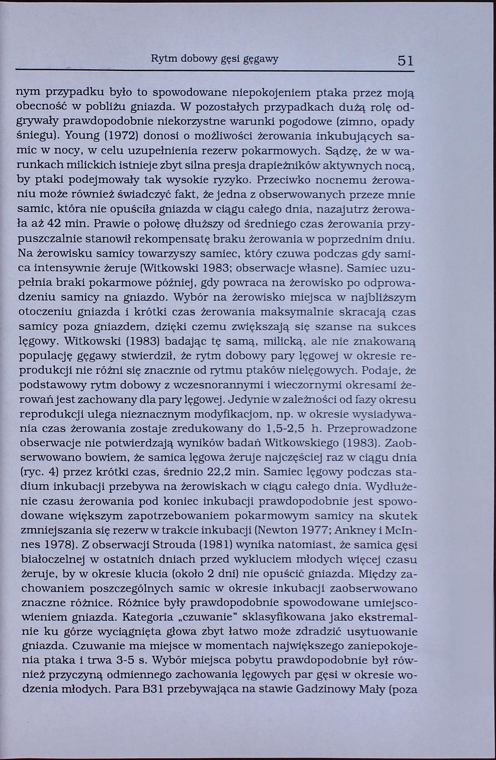 Rytm dobowy gęsi gęgawy 51 nym przypadku był o to spowodowane niepokojeniem ptaka przez moją obecność w pobliżu gniazda.