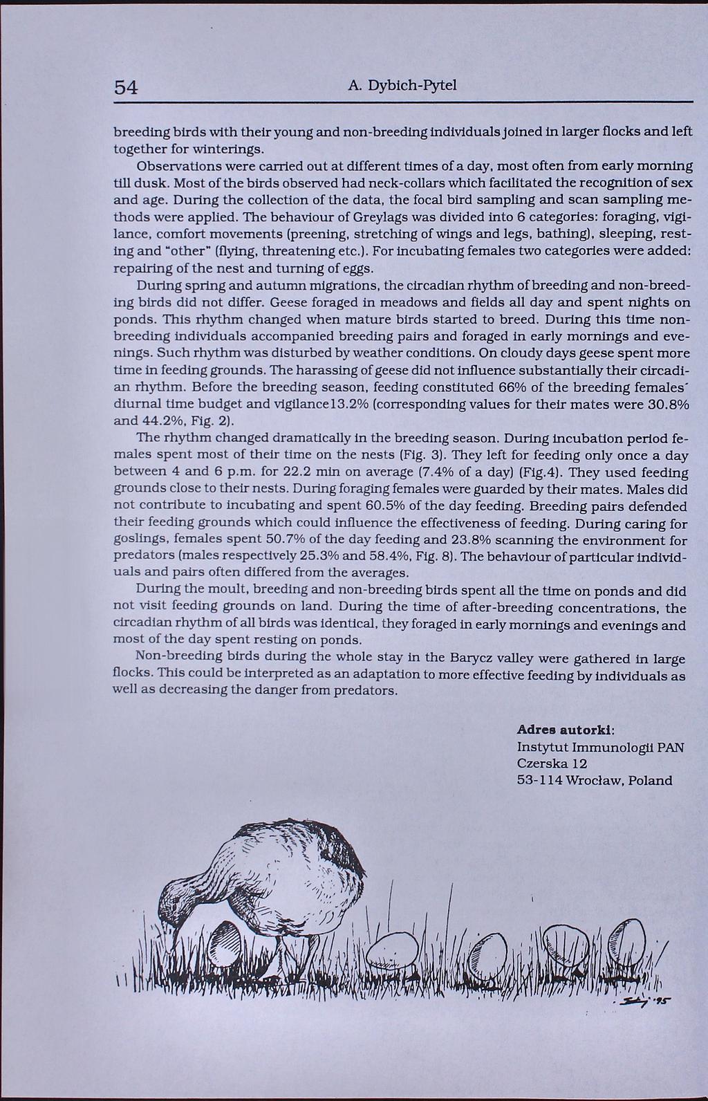 54 A. Dybich-Pytel breeding birds with their young and non-breeding individuals»bied in larger flocks and left together for winterings.