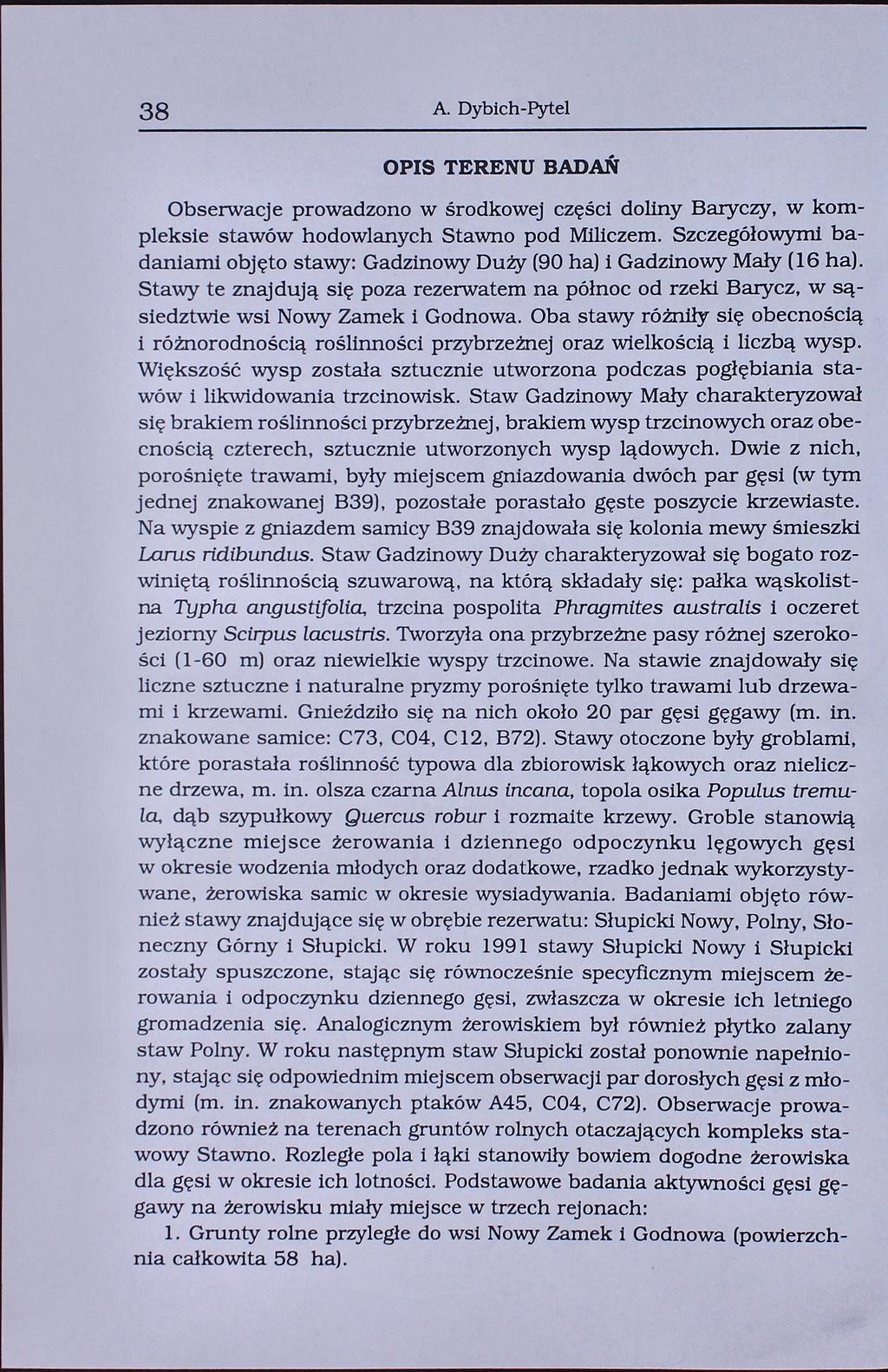 38 A. Dybich-Pytel OPIS TERENU BADAŃ Obserwacje prowadzono w środkowej części doliny Baryczy, w kompleksie stawów hodowlanych Stawno pod Miliczem.