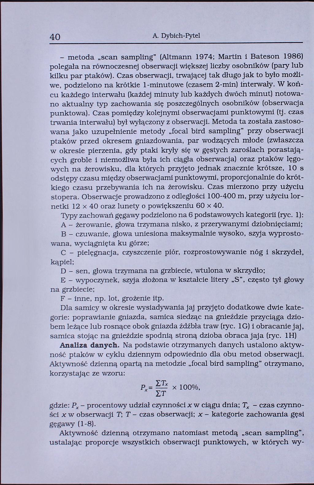 40 A. Dybich-Pytel - metoda scan sampling" (Altmann 1974; Martin i Bateson 1986) polegała na równoczesnej obserwacji większej liczby osobników (pary lub kilku par ptaków).
