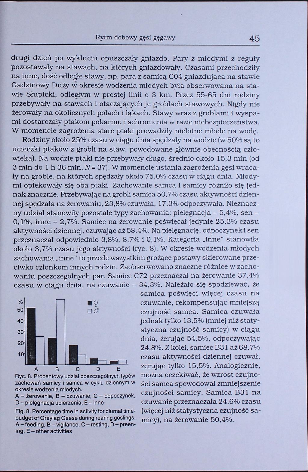 Rytm dobowy gęsi gęgawy 45 drugi dzień po wykluciu opuszczały gniazdo. Pary z młodymi z reguły pozostawały na stawach, na których gniazdowały. Czasami przechodziły na inne, dość odległe stawy, np.