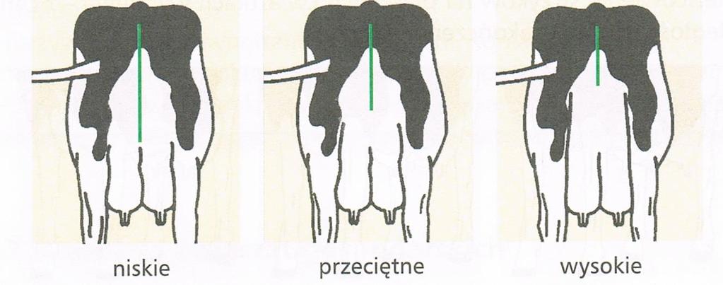 wymienia. 13. Położenie wymienia Odległość od spodu wymienia do podłoża.