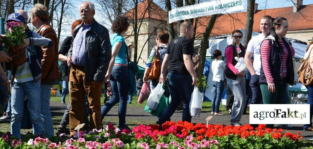 .pl https://www..pl XI Piotrkowskie Targi Ogrodnicze zakończone z sukcesem! Autor: Małgorzata Wróblewska-Borek Data: 18 kwietnia 2016 Piękna wiosenna pogoda, 160 wystawców, ponad 10 tys.