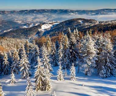 WIEŻE WIDOKOWE Wieża widokowa na Eliaszówce, fot. K. Bańkowski Zimowa panorama z wieży widokowej na Eliaszówce, fot. K. Bańkowski Przed laty stoki Eliaszówki były znacznie bardziej bezleśne i trawiaste.
